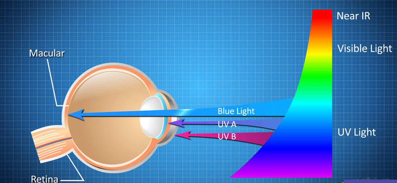 Công nghệ Low Blue Light đã ra đời để hạn chế ánh sáng xanh 420 - 480nm