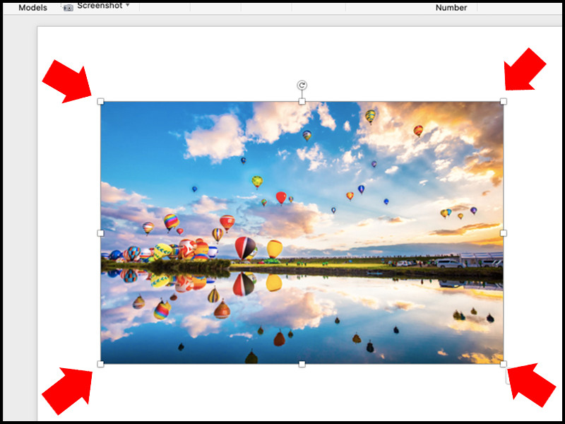 Hướng dẫn chèn ảnh, video, GIF vào trong Microsoft Word đơn giản, nhanh chóng