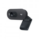 Webcam Logitech C505 HD-2