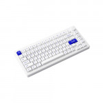 Bàn phím cơ AKKO MOD007 PC Blue on White / Orange on Black (Hotswap/ PC/ Mạch xuôi/ PCB Flexcut/ Gasket Mount)-4