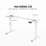 Bộ chân bàn làm việc đứng Flexispot Ergonomic ET225