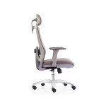 Ghế công thái học Ergonomic Chair ERC-21