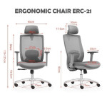 Ghế công thái học Ergonomic Chair ERC-21